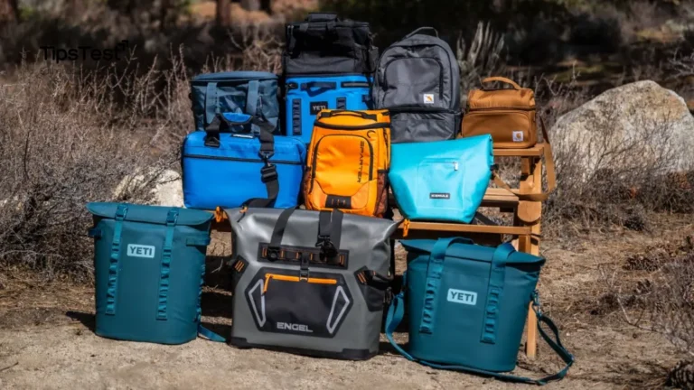 Best Insulated Cooler Bag For Camping