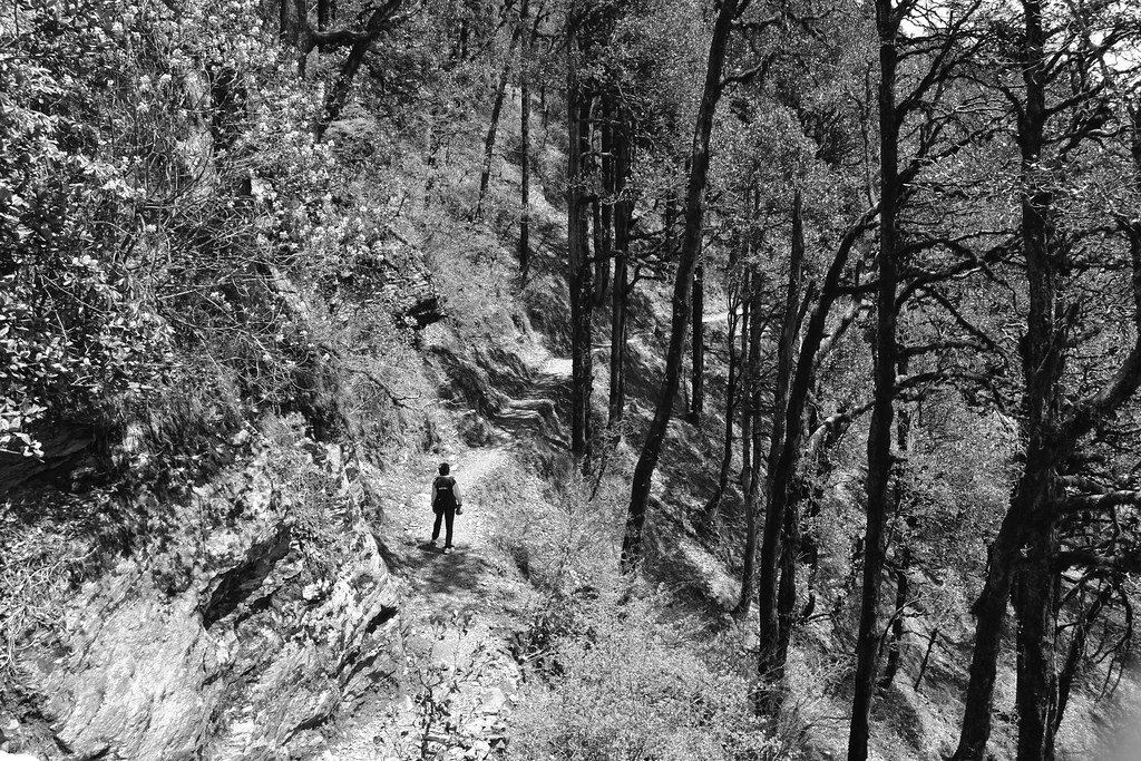 A hiker walking on a mountain trail
