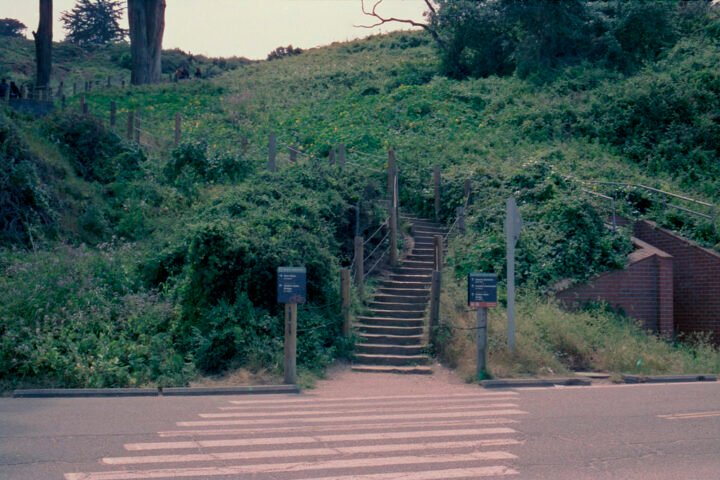 A hiking path climbing a steep, bushy hill