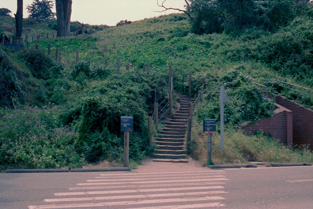 A hiking path climbing a steep, bushy hill