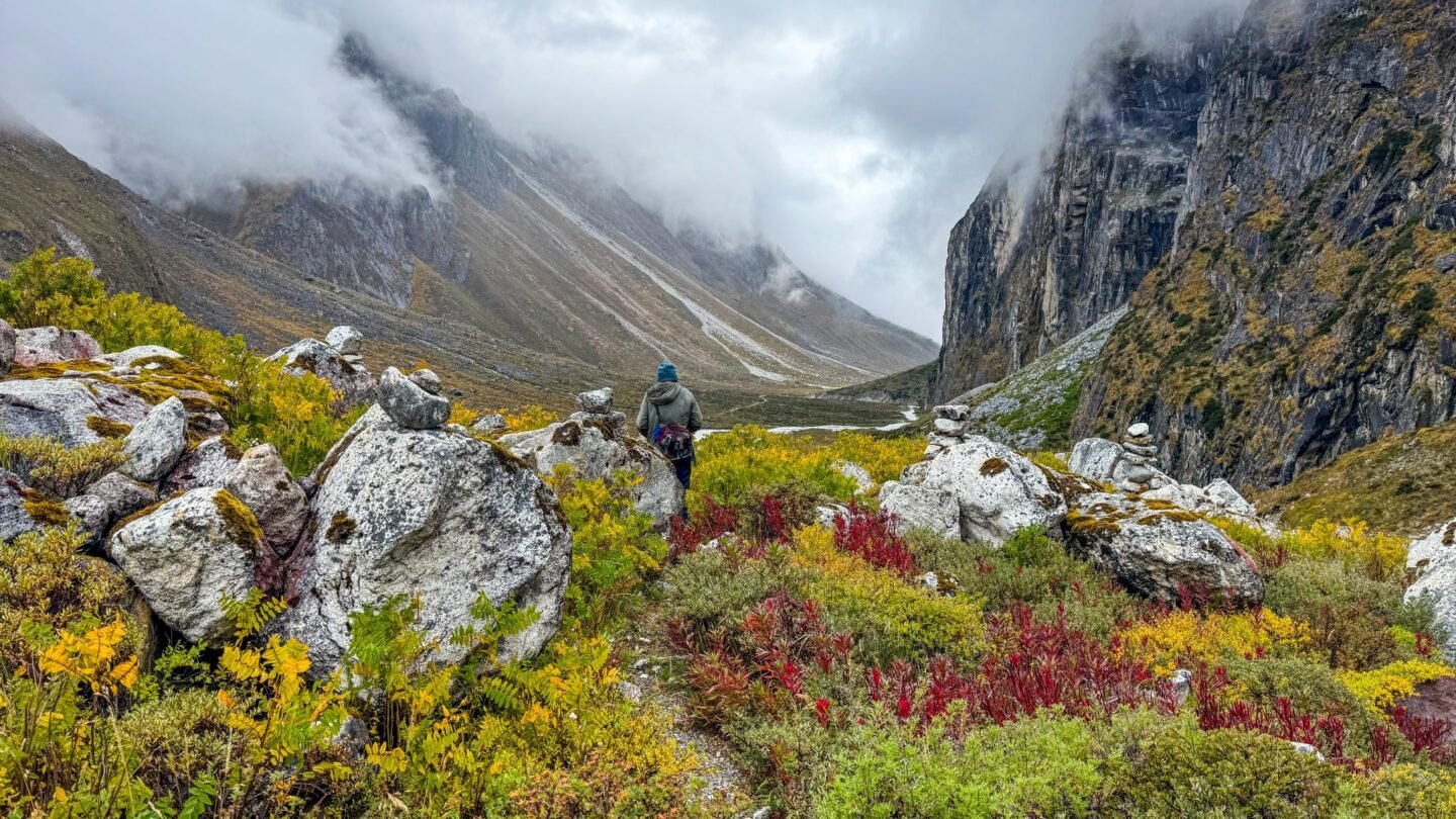 A lone hiker walking through an alpine meadow with wildflowers and misty mountains