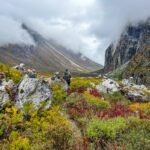 A lone hiker walking through an alpine meadow with wildflowers and misty mountains