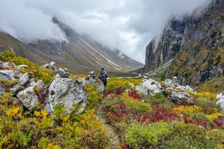 A lone hiker walking through an alpine meadow with wildflowers and misty mountains