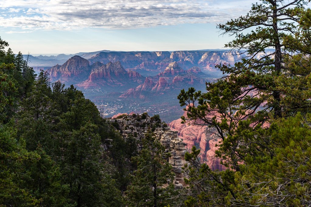 A section of the Munds Mountain Trail