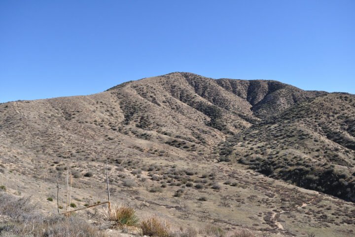 View along the Mount Emma Trail