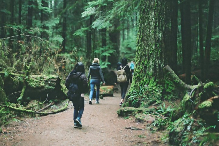 Hikers walking on a trail