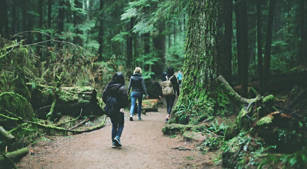 Hikers walking on a trail