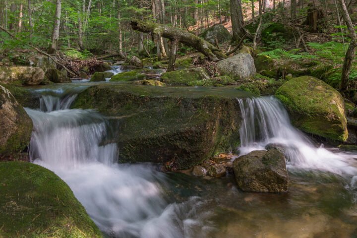 A gentle brook