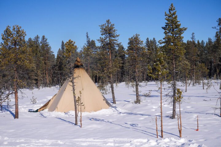 Winter tent pitched in a snowy forest