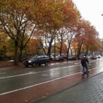 Rainy gray day on an Amsterdam street lined with autumn trees