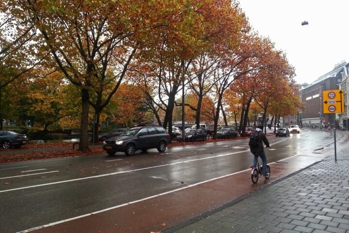 Rainy gray day on an Amsterdam street lined with autumn trees