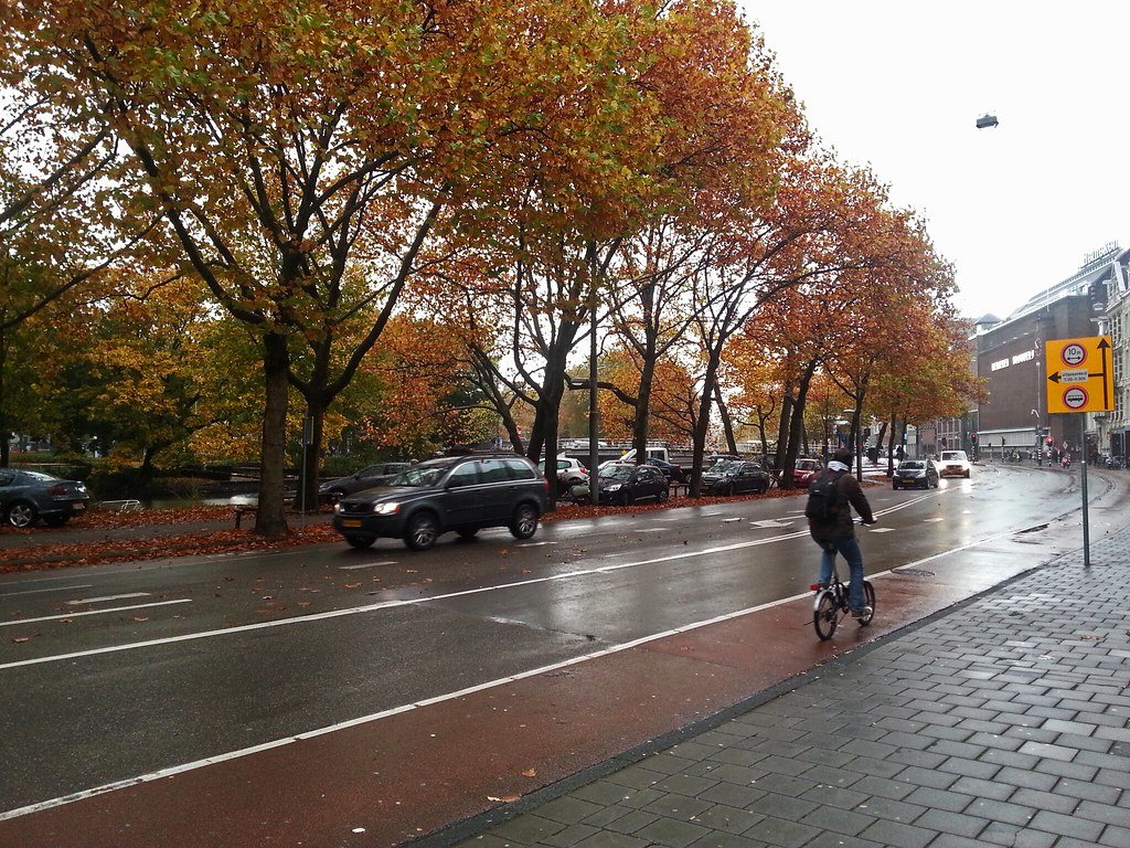 Rainy gray day on an Amsterdam street lined with autumn trees