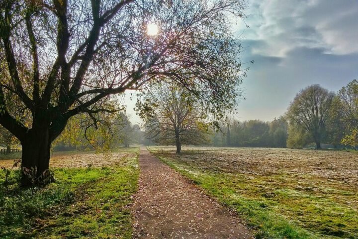 A path through a park in autumn