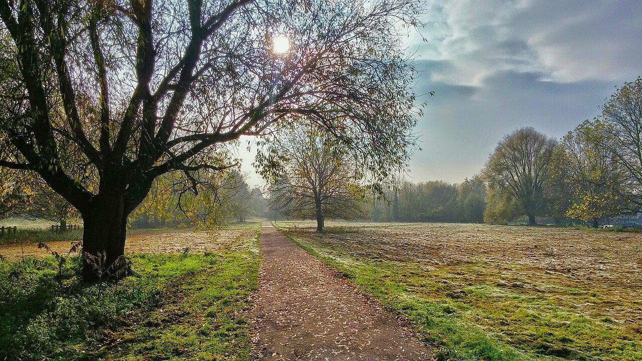 A path through a park in autumn
