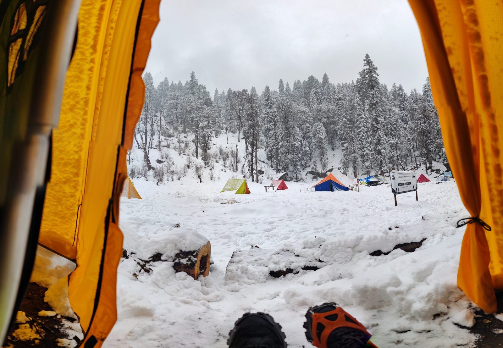 View from inside a tent onto a snowy campsite with tents and snow-covered pine trees