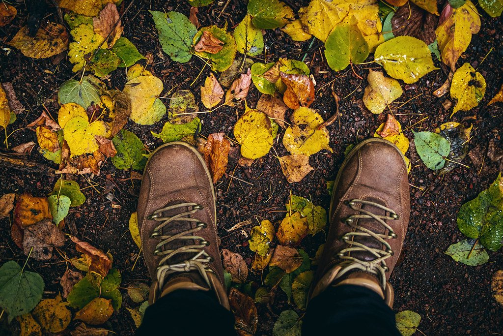 Legs in walking boots stepping through autumn leaves outdoors
