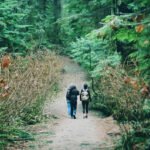 Hikers walking on a path