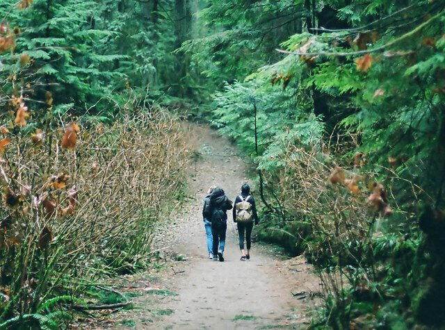 Hikers walking on a path