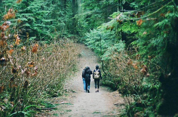 Hikers walking on a path